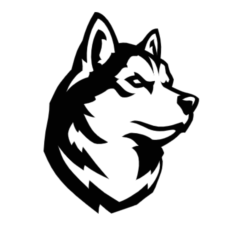 Northeastern Husky Mascot